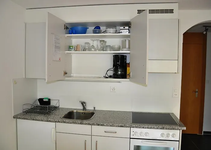 Riedwiese 아파트 *