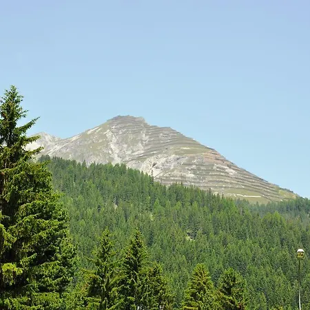Riedwiese Davos